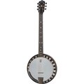  Deering Boston 6 String Banjo