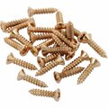 Fender Pickguard Screws Gold
