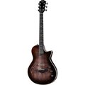  Taylor Custom #18 T5z