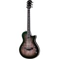  Taylor Custom #33 T5z