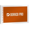  Steinberg Dorico Pro 5 Crossgrade