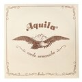  Aquila 120D Wound Nylgut Lute String