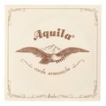  Aquila 136D Wound Nylgut Lute String
