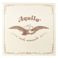  Aquila 140D Wound Nylgut Lute String