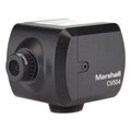 Marshall Electronics CV504 Full HD Mini Camera