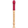  Mollenhauer 17412 Fipple Tere Soprano B