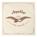  Aquila 160D Wound Nylgut Lute String