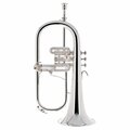  B&S 3146/2-S Brochon