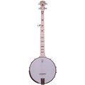  Deering Goodtime Deco Banjo
