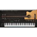  Ample Sound Ample Bass Acoustic III