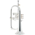  Yamaha YFH-8310 ZS 02 Flugelhorn