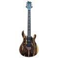  PRS Special 22 SH Private Stock N