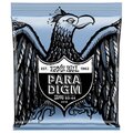  Ernie Ball Primo Slinky Paradigm