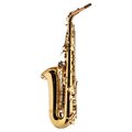  Schagerl Academia Alto Sax A-920L-II