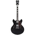  D'Angelico Premier DC Black Flake V2