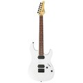  FGN Boundary Odyssey SWH w/Gigbag