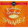  Savarez Evolution Cantiga Premium Medi