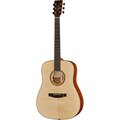 Lakewood D-Chakte Viga Custom