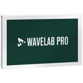  Steinberg Wavelab Pro 12