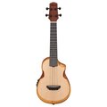 Ibanez AUC10E-OPN