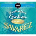  Savarez 510EJP Evolution Cantiga HT