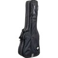  Ritter Bern Double Bass ANT