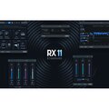  iZotope RX 11 Standard EDU