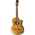  Takamine TC132SC w/Softcase