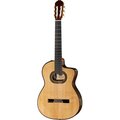  Takamine TH90 w/Softcase