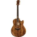  Taylor C28ce Grand Orchestra Custom