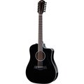  Taylor 250ce-BLK Plus