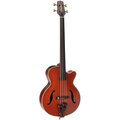  Takamine TB10 w.Case