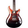  PRS Custom 24 10 Top FRTGBNB WL