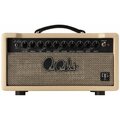  PRS DGT 15 Head