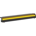  Prolights EclCyclorama 100