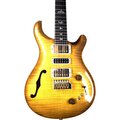  PRS Special S/H 22 MSB 10 Top