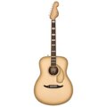  Fender LTD Palomino Vintage Antigua