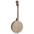  Gold Tone Irish Tenor Banjo 11