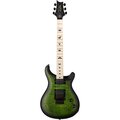  PRS CE 24 Dustie Waring Floyd ZX