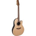  Ovation Pro Legend 1767-4S-G USA