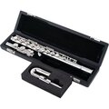  Pearl Flutes Quantz B505EU-HC Flute