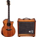  Taylor 924ce-KLTD 50th/w Circa 74 Amp