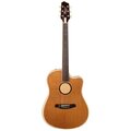  L.R.Baggs AEG 1 E- Acoustic E Natural