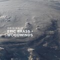  Spitfire Audio Orig. Epic Brass and Woodwinds