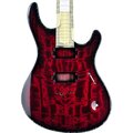  Mayones Guitars Regius 7 TDRG