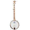  Deering Goodtime Deco A/E Banjo