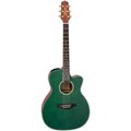 Takamine LTD2025