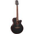  Takamine GF49CE CB