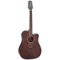  Takamine GD21CE SM