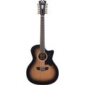  D'Angelico Premier Fulton Aged Burst